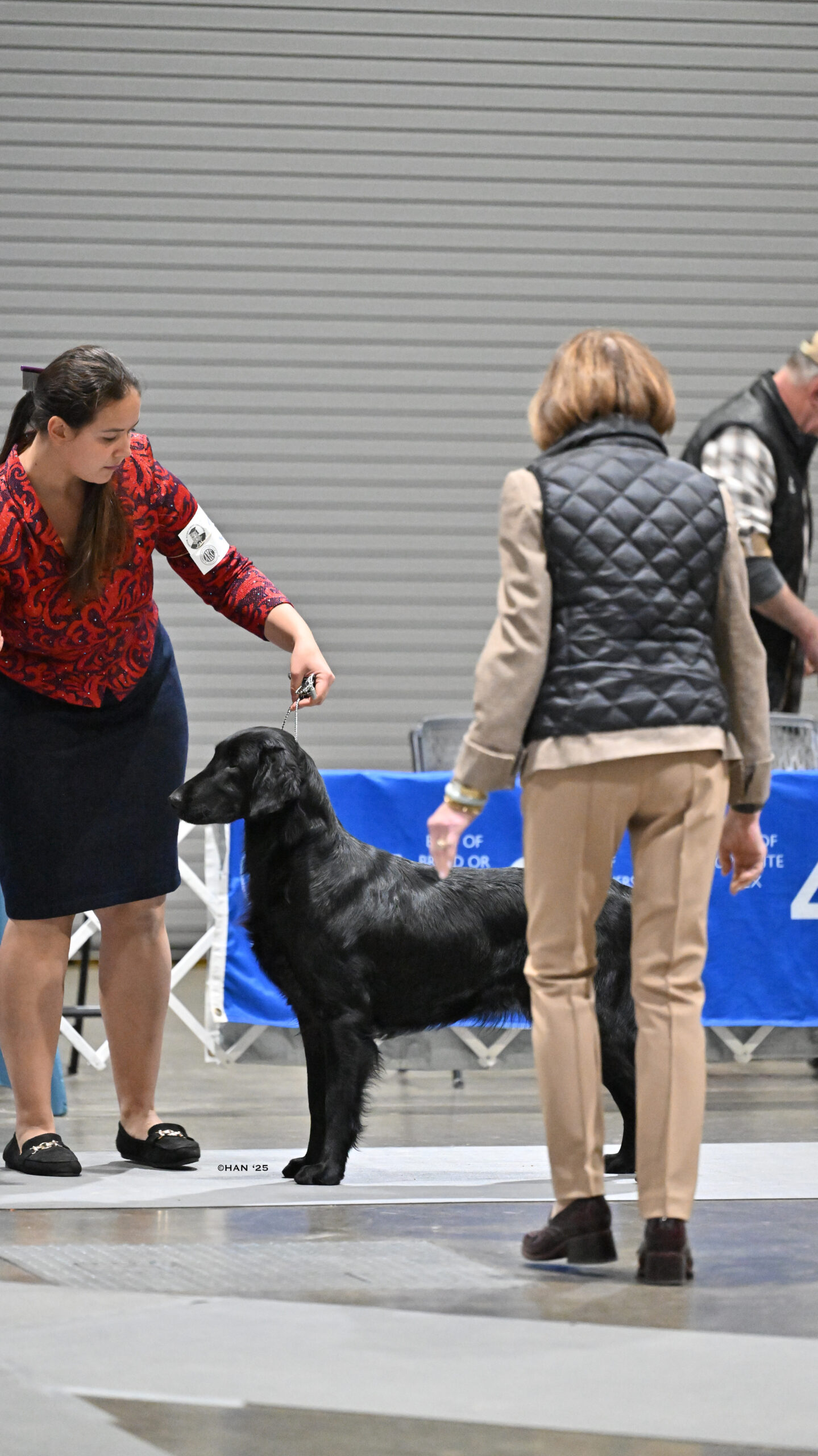 HEIRBORN MAHN HATTAN EYE CANDY5